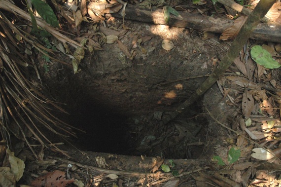 'Man of the hole,' the last member of an uncontacted tribe, dies in the Amazon