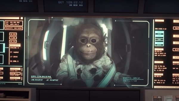 'Beppo go home?' SNL skit astronaut monkey steals hearts