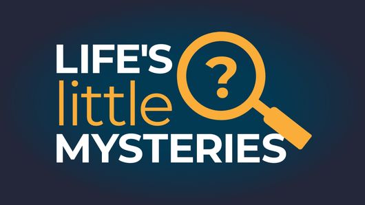 Sign up for our Life's Little Mysteries newsletter