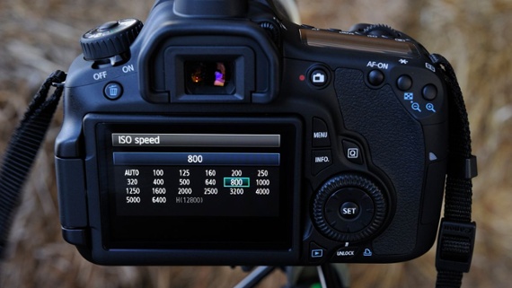 What does ISO stand for in photography?