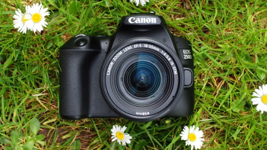 The best cheap Canon camera in 2024