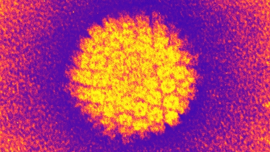 Live Science