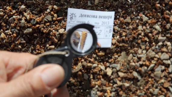 Oldest-known fossils of mysterious human lineage uncovered in Siberian cave