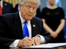 Trump takes executive action on pandemic relief