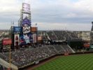 Feral felines a home run with fans at Coors Field