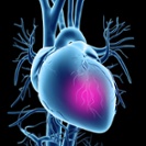Epigenetic blood test predicts heart risk in diabetes