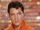 Elvis Presley to run for Ark. Senate