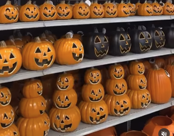 stores shelves or home decor jack o' lanterns in different sizes
