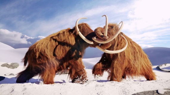 What could go wrong? Woolly mammoth edition