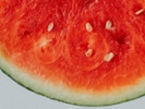 A close-up view reveals the juicy red flesh of a watermelon, highlighting its texture and scattered seeds. This fruit offers a refreshing look, ideal for summer enjoyment.