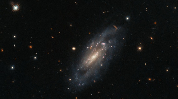 Hubble telescope captures stunning shot of spiral galaxy