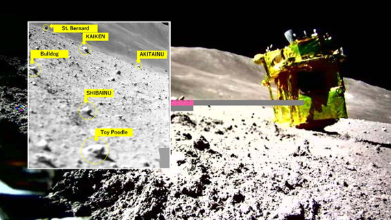 Upside-down SLIM lander wakes up on the lunar surface