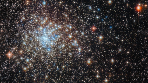 Hubble hunts for a black hole among brilliant stars