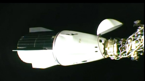 SpaceX's Crew-8 Dragon capsule docks at the ISS