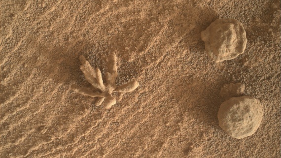 Curiosity rover snaps close-up of tiny 'mineral flower' on Mars