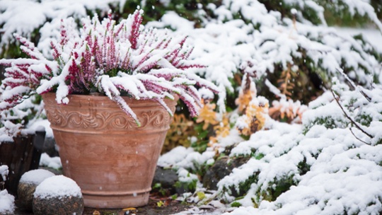 America set for a wet and snowy winter – what gardeners need to know about the Farmers' Almanac winter weather predictions