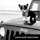Jeep seeks top dog for social stardom