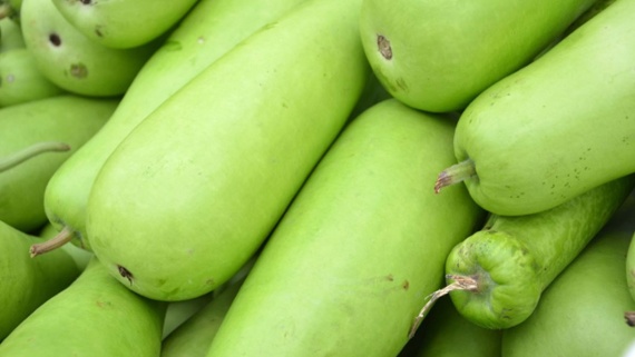 Woman gets rare case of 'toxic squash syndrome' after drinking bitter gourd juice