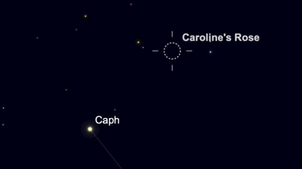 Caroline's Rose Cluster is shown in a black sky close to the bright star Caph.