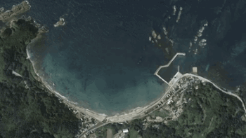 Japanese earthquake shifted coastline over 800 feet