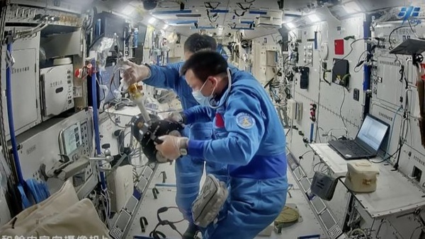 Chinese astronauts show fruit fly experiment on Tiangong