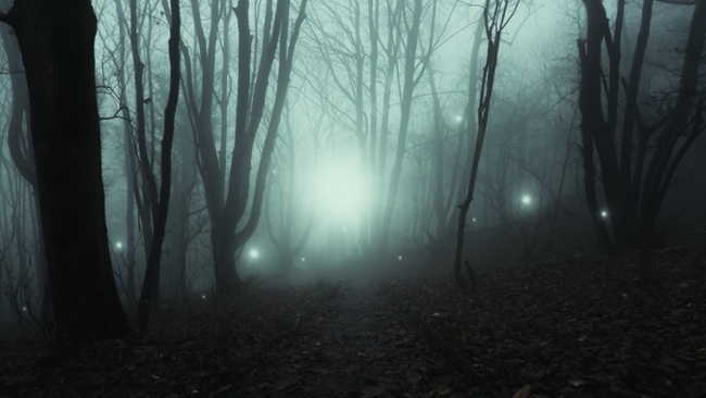 Creepy 'ghost lanterns' in South Carolina are not what they seem, study suggests