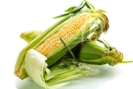 juicy ripe corn cob in husk on white background.