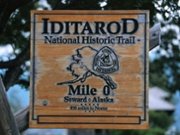 Shelter dogs compete in Iditarod