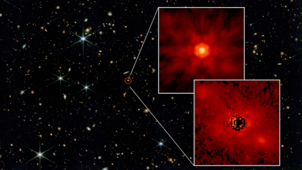 Black-hole-powered quasars killed off neighboring galaxies