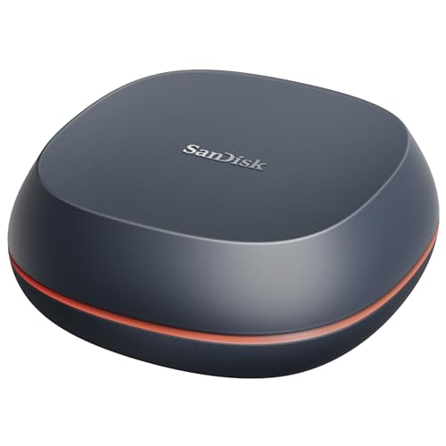 Sandisk