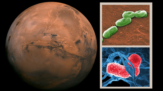 Astronauts may threaten Mars missions with their bacteria