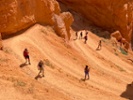 Google makes visiting National Parks a little easier