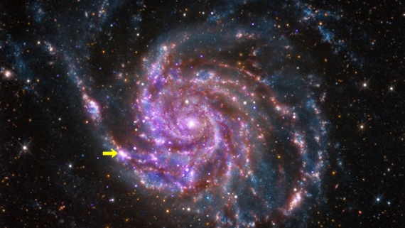 How long will the new supernova in the night sky last?