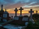 People are dying for green burials