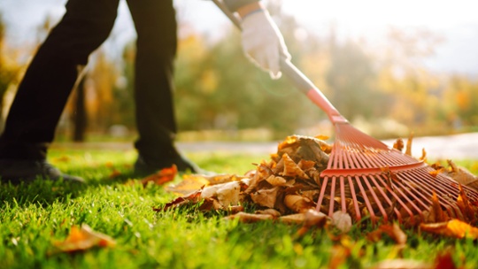 5 fall lawn care tips you need to know, according to experts