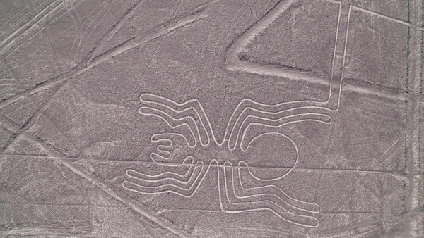 Why were the Nazca Lines built?