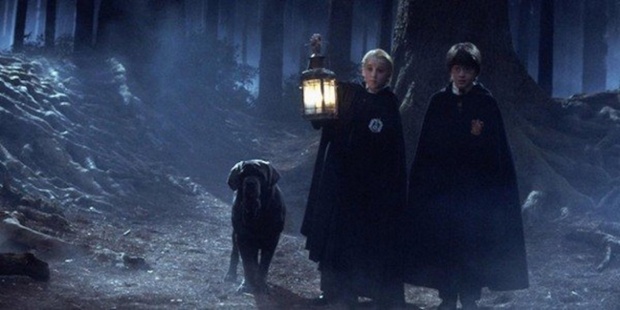 How Some Harry Potter Fans Will Be Able To Tour The Forbidden Forest In Real Life