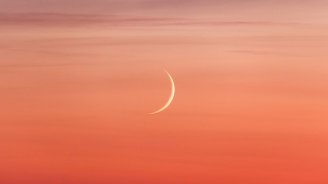 See Venus with a super young moon tonight
