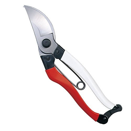 Okatsune Japanese pruning shears, view at Amazon