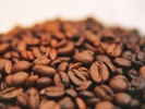 Genes of coffee arabica reach back 600,000 years