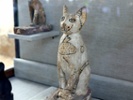 Mummies of cats, beetles found in Egyptian crypt