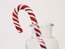 A fungus is buzzkill for your candy cane fix