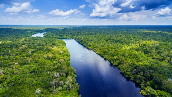 Here's an amazing fact about the Amazon