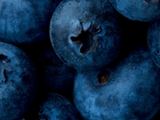 Extreme close up vibrant blueberries