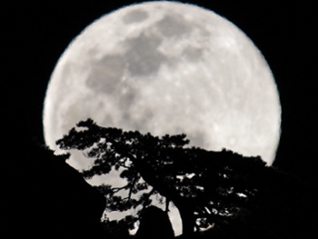 Worm Moon, last full moon of winter 2022, will shine overnight