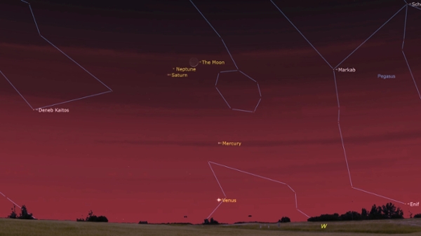 A simulation of the night sky for Feb. 19 showing the moon close to the right of Neptune and Saturn with Mercury and Venus below.