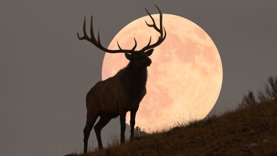 Supermoon alert: The biggest full moon of 2022 rises tonight