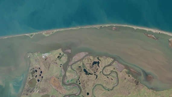 Walruses spotted from space adapting to climate change