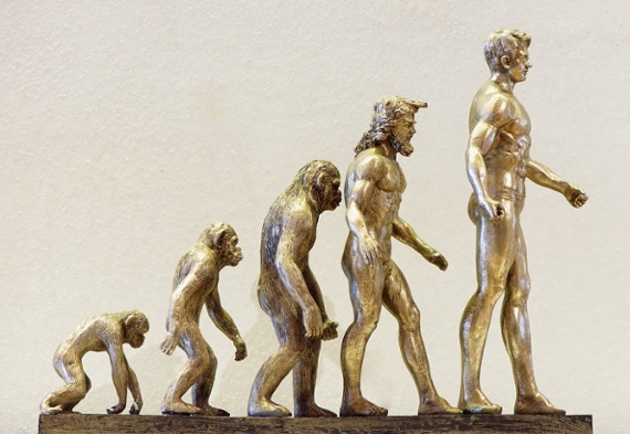 How our ape ancestors can help evolve your leadership
