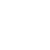 Steam